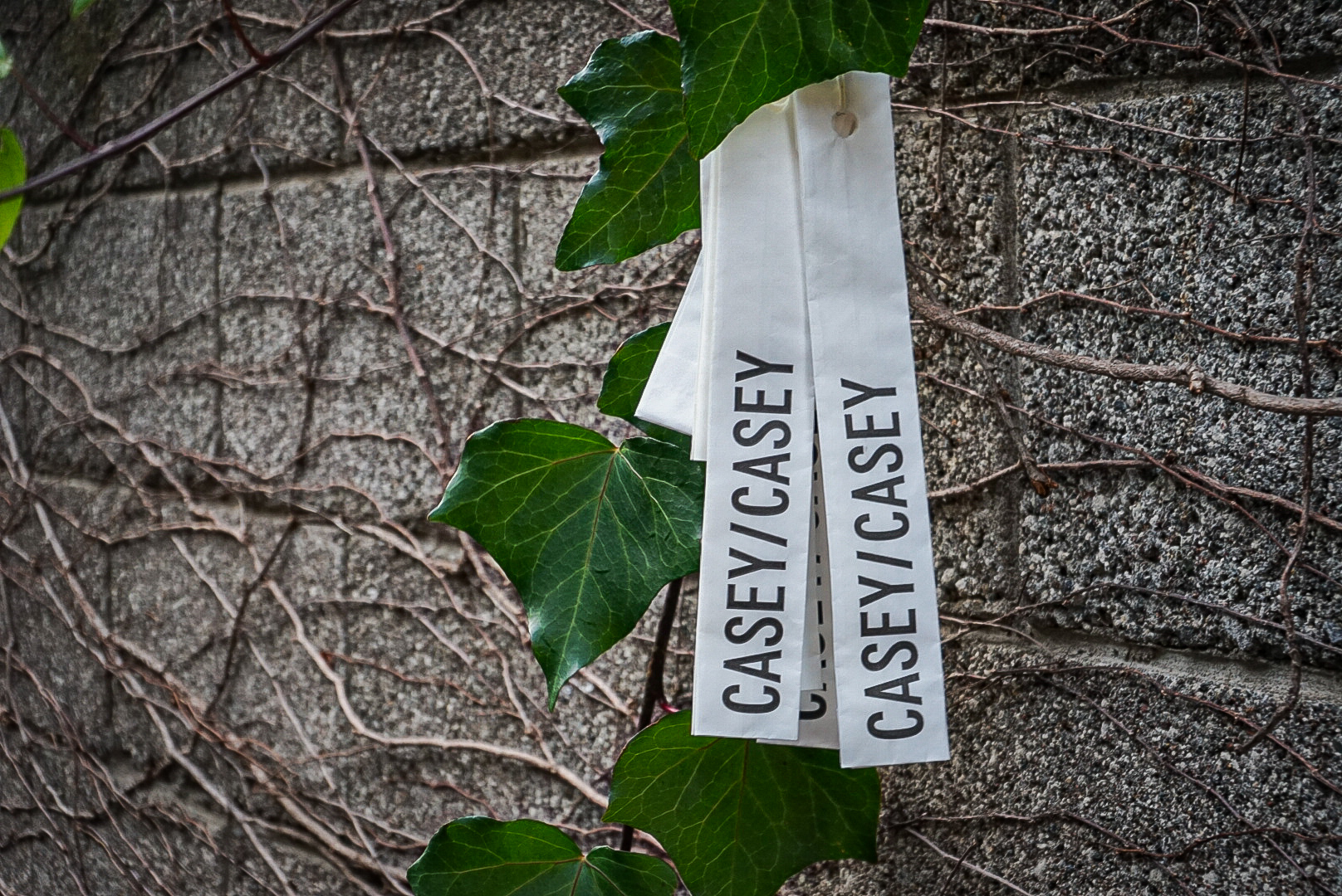 CASEY CASEY 2025SS / LINEUP Vol.1 - ARCH 南青山