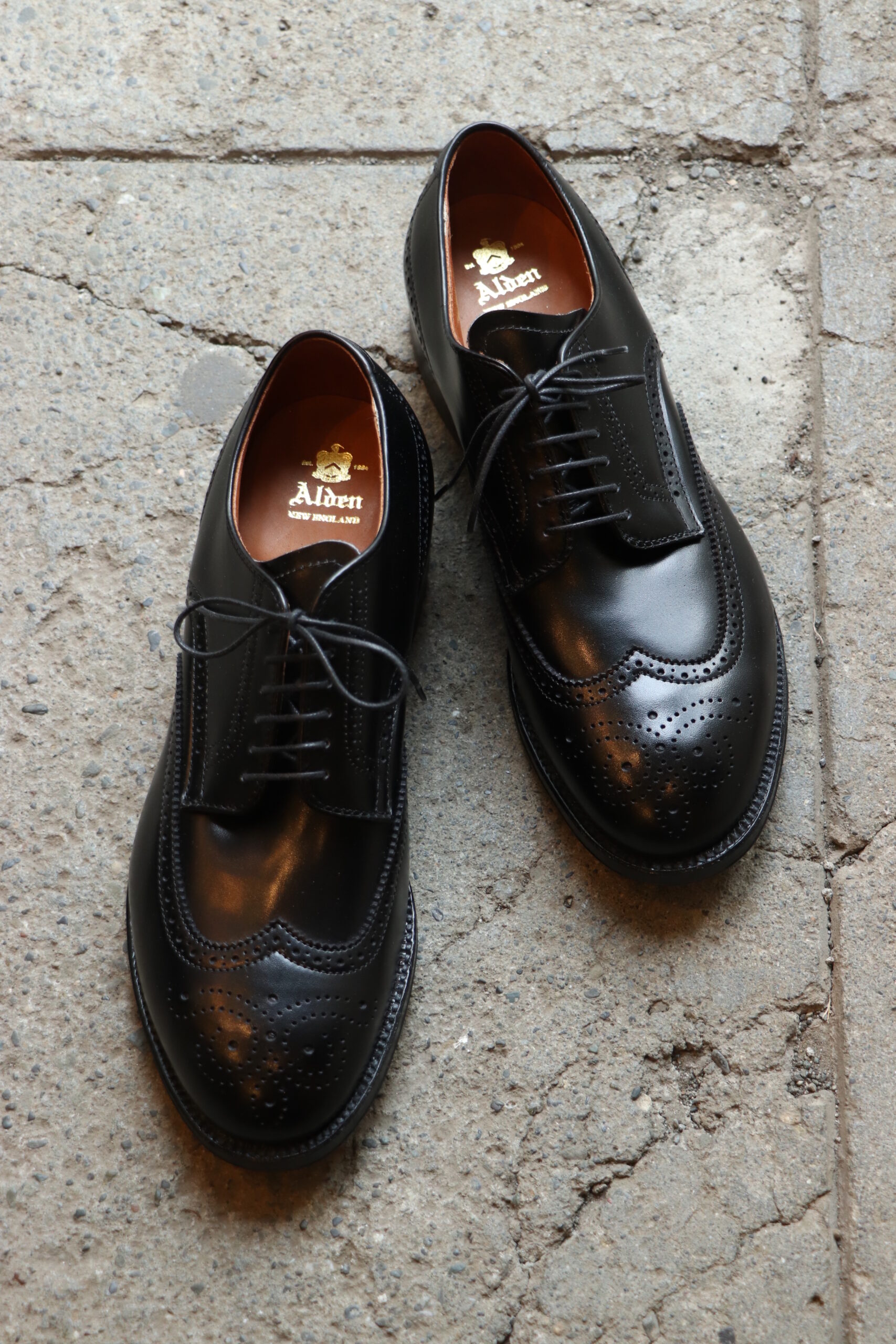 Alden 926 shot wing Tipシューズ オールデン-