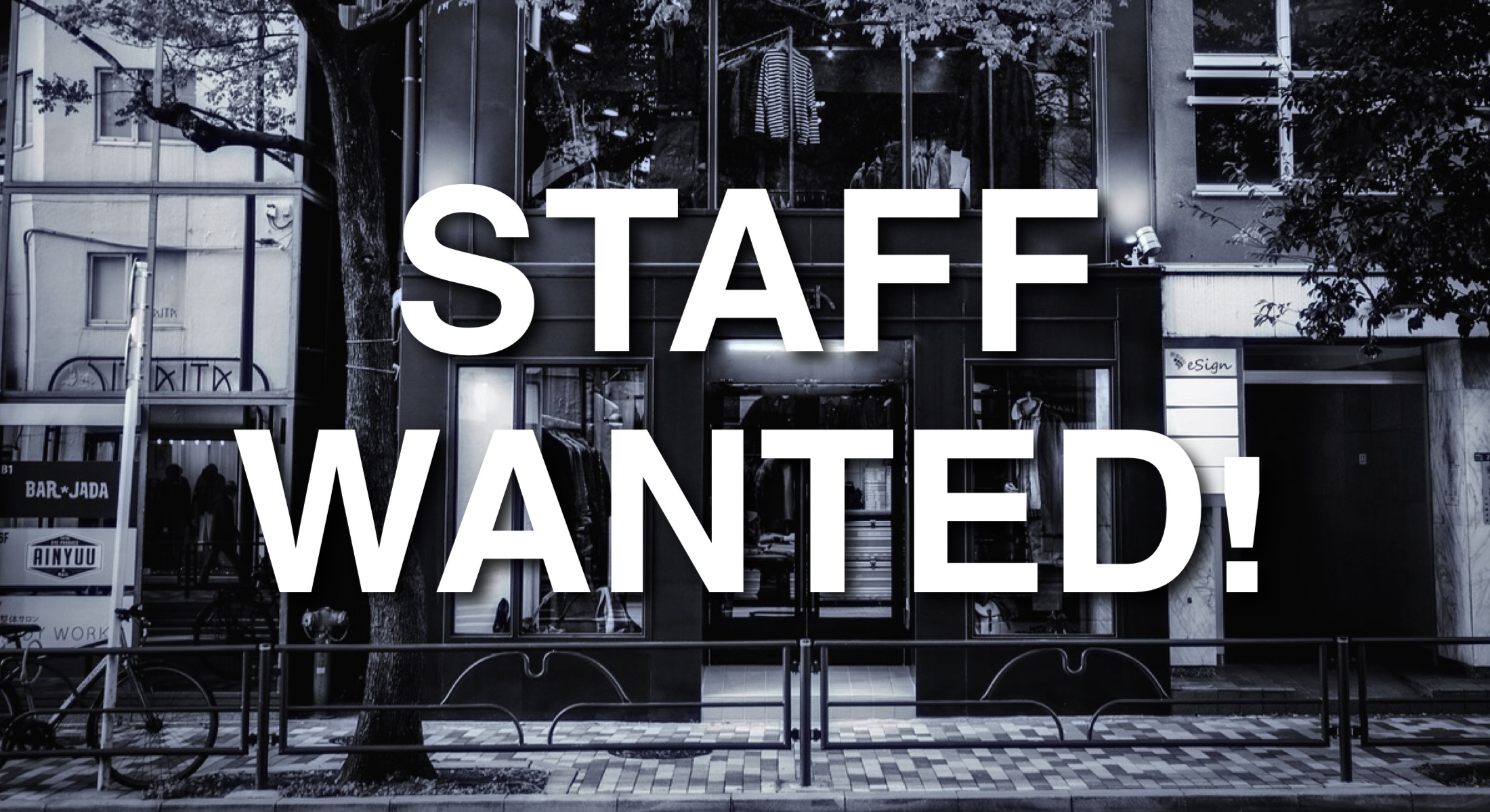 STAFF WANTED!